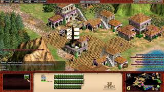 Age of Empires 2 HD custom campaign Tylia  Chapter III final part [upl. by Lissa]