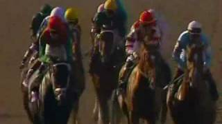 2008 Breeders Cup Classic [upl. by Daeriam]