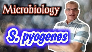 Streptococcus pyogenes Characteristics Classification Antigenic structure Toxins amp Enzymes [upl. by Nabal]