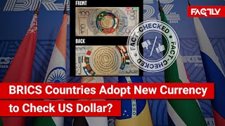 FACT CHECK Have the BRICS Countries Adopted New Currency Meant to Check Strength of the US Dollar [upl. by Ivie]