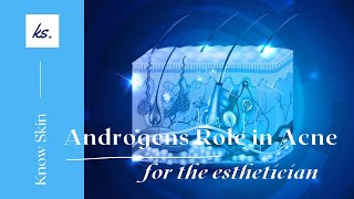 Androgens role in acne by Kirsten Sheridan [upl. by Eillek]