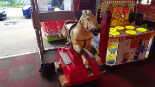 EDWIN HALL Horse Coin operated kids arcade fairground ride by TAJ The arcade junkie [upl. by Utter990]