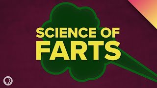 The Science of Farts [upl. by Gibbon]