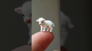 Wow Cute fypシ゚viral fypシ゚viral cute cuteanimal shortsfeed cat cuteanimls [upl. by Akehsyt]