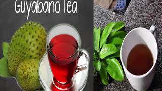 Guyabano Tea Side Effects You Must Know [upl. by Eanrahc]