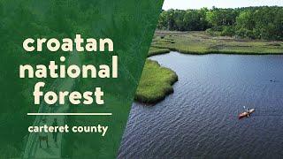 Croatan National Forest The Only True Coastal Forest in the East [upl. by Suckow568]