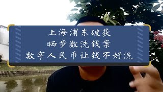 上海浦东破获晒步数洗钱案，数字人民币让钱不好洗 [upl. by Gloriane]