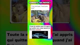 Surtout les dates dhistoire ￼ memes humour drole funny [upl. by Brander]