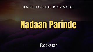 Nadaan Parinde  Unplugged Short Karaoke  Rockstar [upl. by Saravat]