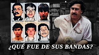 Las BANDAS que Servían a PABLO ESCOBAR [upl. by Atinreb]