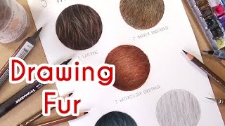 5 METHODS TO DRAW REALISTIC FUR Coloured Pencil Drawing Tutorial Episode 4 [upl. by Colline724]