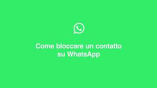 Come bloccare un contatto  WhatsApp [upl. by Alleuqahs]