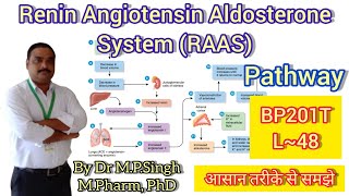 Role of Renin Angiotensin Aldosterone System  Human Anatomy PhysiologyII  BP201T [upl. by Cherian261]