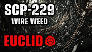 SCP 229  Wire Weed  Object Class  Euclid [upl. by Onaivatco]