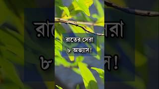 রাতের সেরা ৮ অভ্যাস motivation anisul anisulislamofficial [upl. by Mercola]