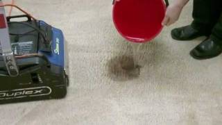 How to Clean Carpet Spills Management [upl. by Elawalo]