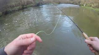 Early Season Trout Fly Fishing Fishing the classic upstream nymph on a welsh small stream [upl. by Car350]