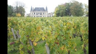 Alternative Bordeaux Château Palmer and their shift to biodynamics [upl. by Lisabeth]