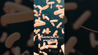 Bacterial diseases in Humans [upl. by Ahsiuqat728]