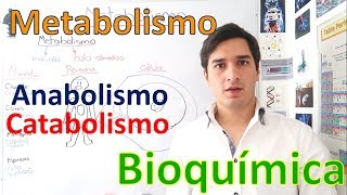 Metabolismo y Rutas metabólicas Anabolismo y Catabolismo EN 11 MINUTOS [upl. by Alaet700]