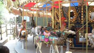 Merry Go Round Knoxville Zoo [upl. by Attenwahs]