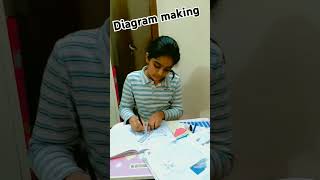 frog minivlog Diagram making like share subscribe [upl. by Needan]