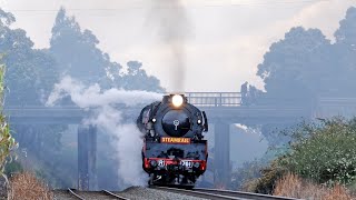 THE VERY POPULAR STEAM TRAIN  The Steamrail Victoria Eureka Express [upl. by Ariayek]