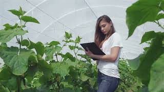 Revolutionize Gardening Dive into Aquaponics for Fresh Food amp Sustainable Livingquot [upl. by Behlau]