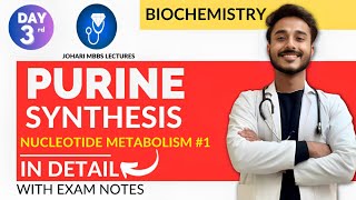 purine synthesis biochemistry  nucleotide metabolism biochemistry  purine nucleotide synthesis [upl. by Yelknirb]