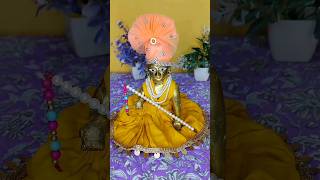 radhey radhey devotees krishna kanha ytshorts [upl. by Higginson]