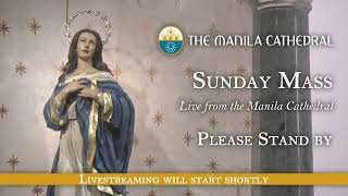 Sunday Mass at the Manila Cathedral  November 17 2024 600pm [upl. by Budwig757]