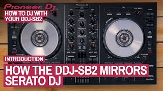 What The Buttons Do  How To DJ With Your Pioneer DDJSB2 5 of 22 [upl. by Eceinert]