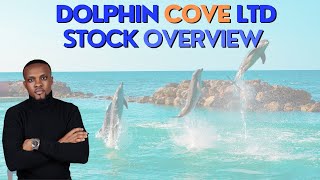 Dolphin Cove LTD Overview  Jamaica Stock Exchange [upl. by Llain]