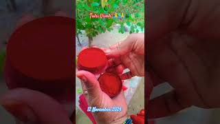 Tulsi Vivah muhurat  Tulsi Vivah Geet short video like amp subscribe 🙏🙏🙏🙏 [upl. by Bohrer]