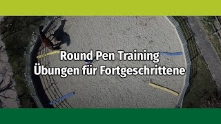 Eschbach Horsemanship Round Pen Training Übungen für Fortgeschrittene [upl. by Eyllek339]