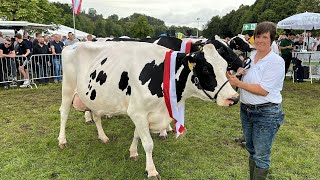 Tierschaufest lockt nach Wenden [upl. by Tonya]