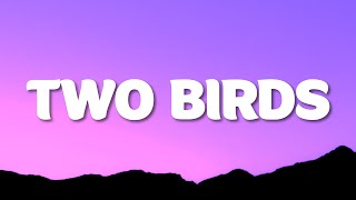 Regina Spektor  Two Birds Lyrics quotTwo birds on a wirequot TikTok Song [upl. by Maltzman]