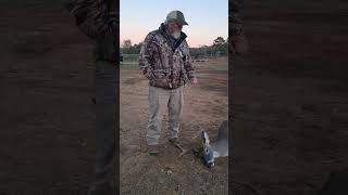 Important tip on gutting a deer deerhunting howto [upl. by Cassy]