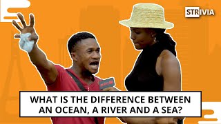 What is the difference between an Ocean a river and a sea  PulseTV Strivia [upl. by Scoles544]