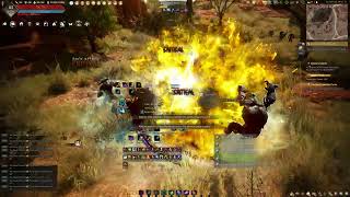 BDO  Awakening Tamer  Tungrad Ruins 403k trashh yellow ls [upl. by Farnham]