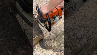 Бензопила STIHL  MS 260 в роботі [upl. by Sucerdor]