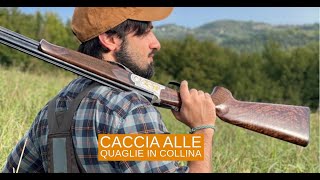 Giorni di caccia quaglie in collina [upl. by Kensell]