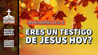 Eres un testigo de Jesús hoy [upl. by Anes247]