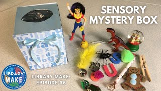 DIY Literacy Sensory Mystery Box LIBRARY MAKE [upl. by Coreen]