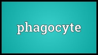 Phagocyte Meaning [upl. by Esile]