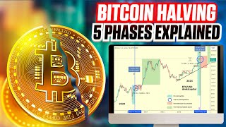 5 Phases of the Bitcoin Halving  Ultimate Guide For 2024 [upl. by Quintin133]