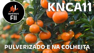 KNCA11  FUNDO SEGUE INTACTO [upl. by Joleen]