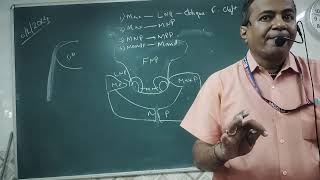 Development of Face and Palate by Dr YJB [upl. by Cale]