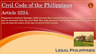 Civil Code of the Philippines Article 2224 [upl. by Terris]