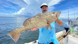 Grouper fishing in Tampa Bay [upl. by Hennessy]